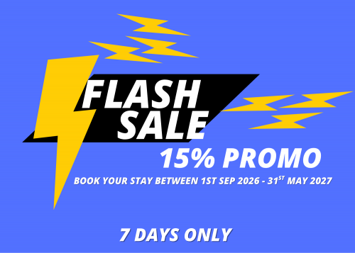 FLASH SALE 