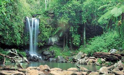 Gold Coast Hinterland 